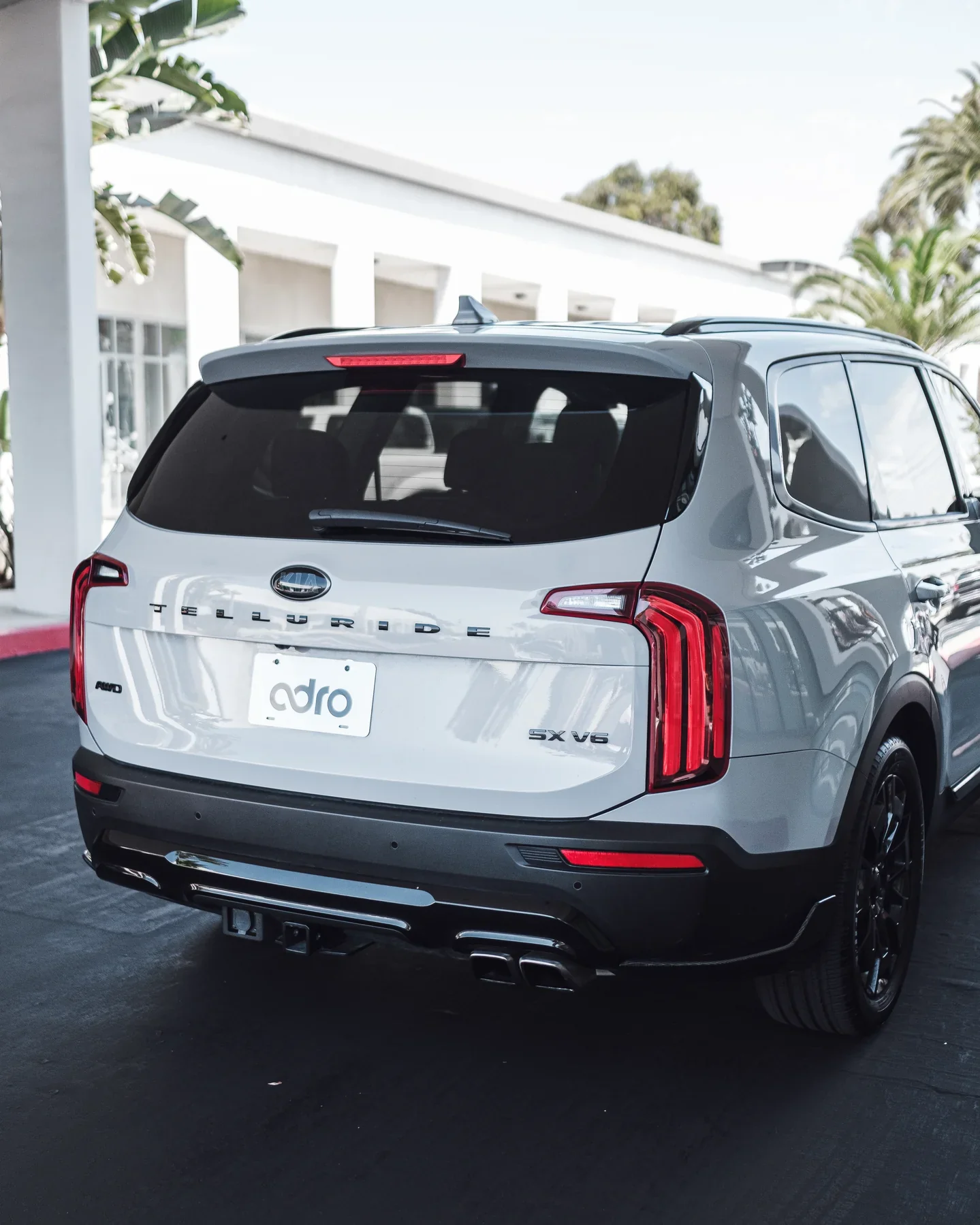 KIA TELLURIDE CARBON FIBER REAR WINGLETS - Image 2